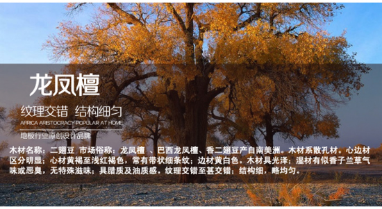 行业大咖带你逛安信，地板这么选省钱才又好